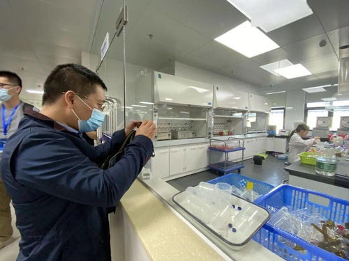 信息技術咨詢服務為‘六穩六保’提供強支撐，中國—東盟檢驗檢測認證高技術服務集聚區賦能企業騰飛